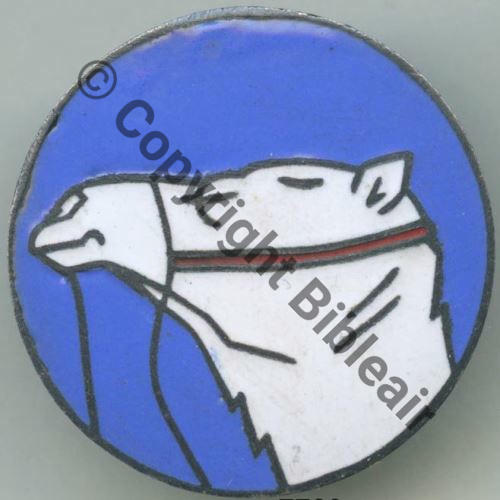 588 1937 GAO.588  COLOMB BECHAR SM IMAGE NON CONTRACTUELLE Src.grandspins13 